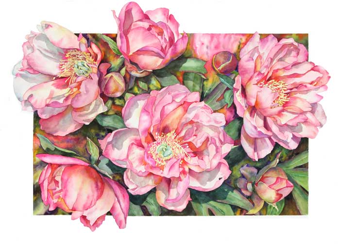 Peony Encore, Kopper Kettle, watercolor by Sally Robertson