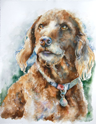 Watercolor of Labradoodle