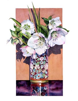 Sally Robertson Botanical print of Hellebore Orientalis